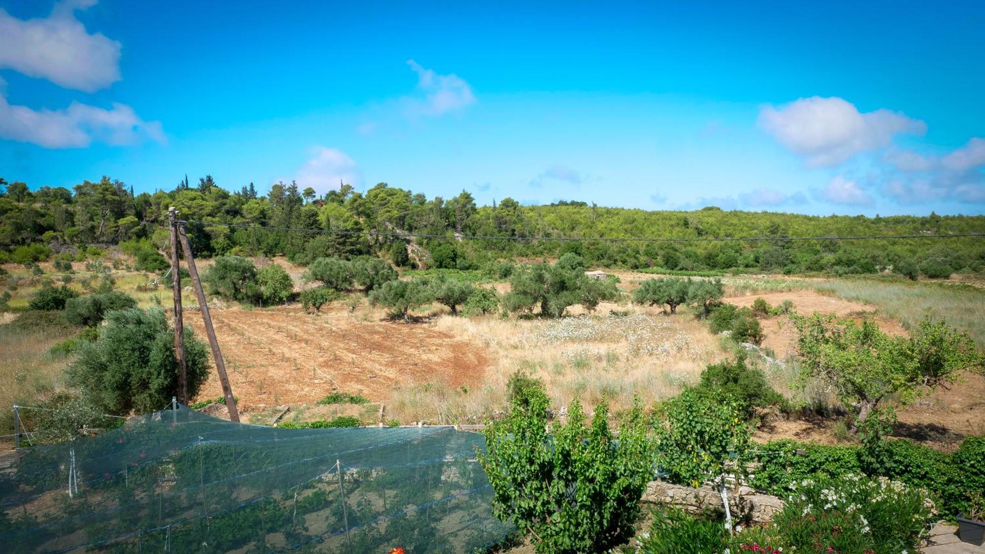 Fterini Apartments Sterna & Alletri Agios Leon Exteriör bild