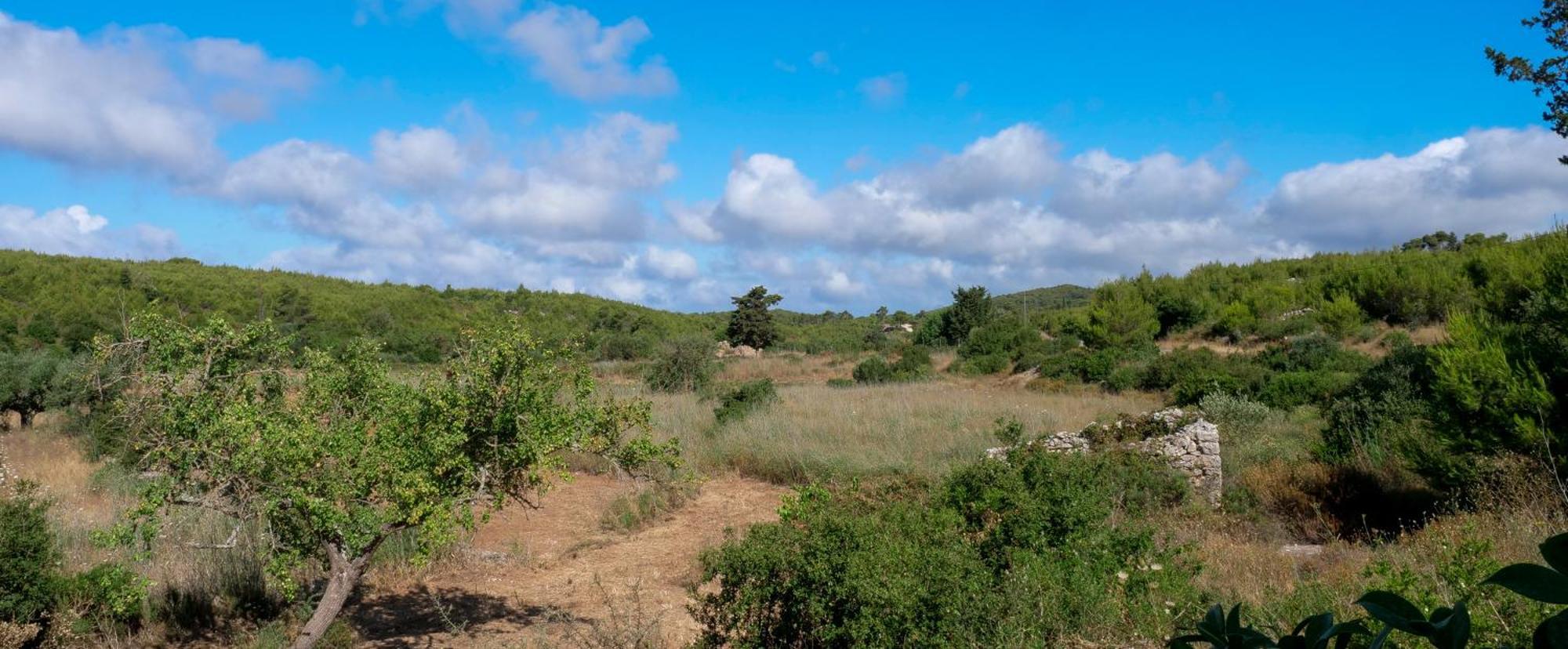 Fterini Apartments Sterna & Alletri Agios Leon Exteriör bild