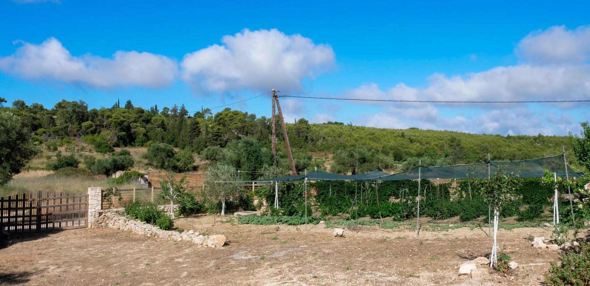 Fterini Apartments Sterna & Alletri Agios Leon Exteriör bild